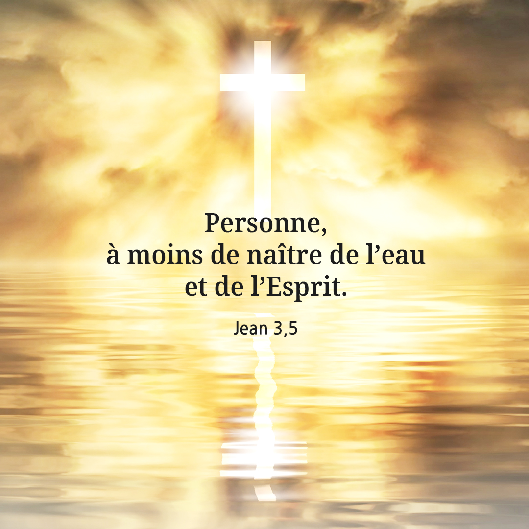 Personne, à moins de naître de l’eau et de l’Esprit. (Jean 3,5)