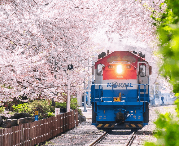 코레일 여행상품