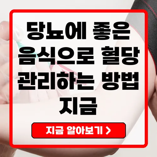 당뇨에 좋은 음식과 올바른 식단 구성 방법