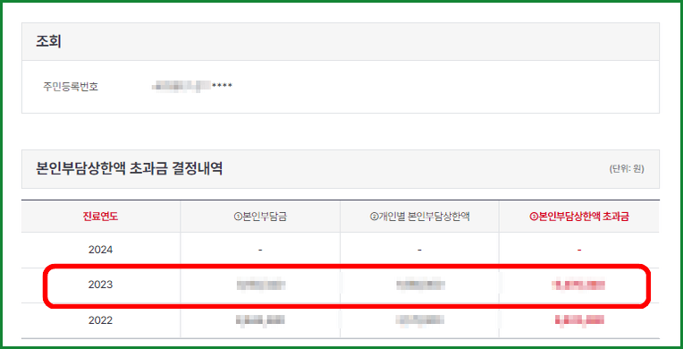본인부담상한액 초과금 결정내역