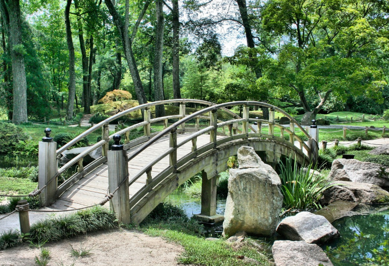 자연과 생태가 어우러진 순천만, 국가정원과 습지의 매력