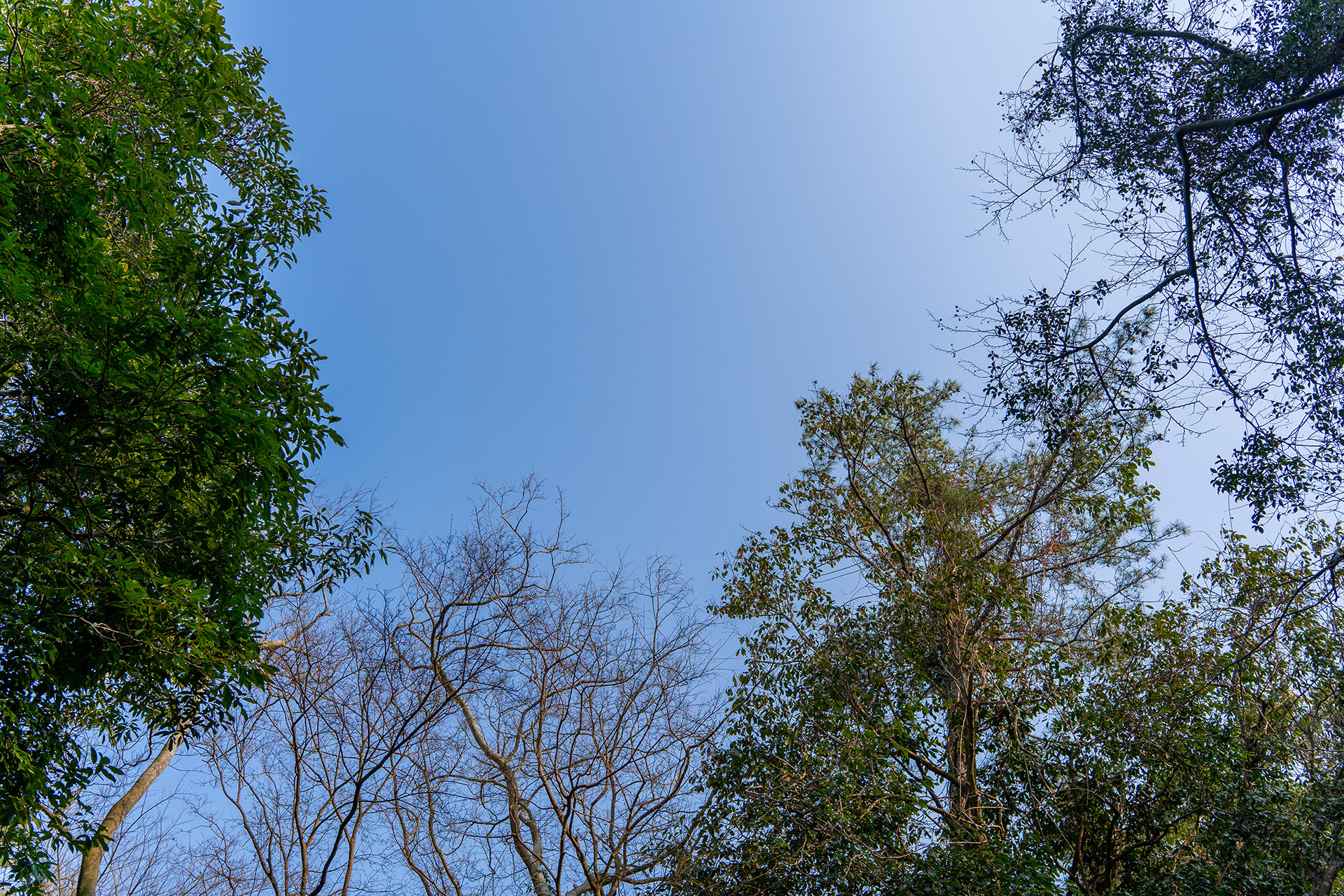 환상숲 곶자왈 공원