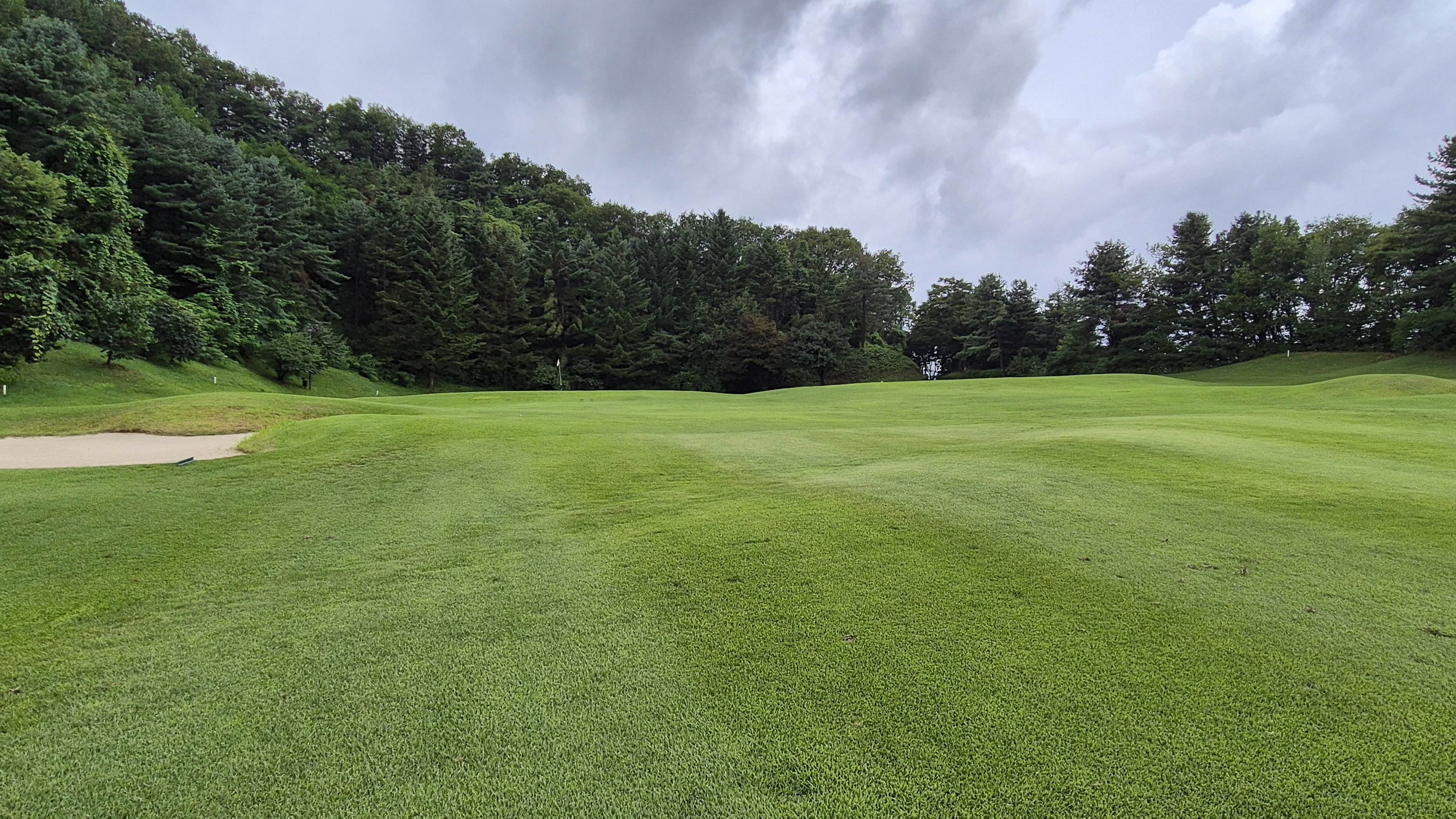 뉴서울cc 예술in-문화in 코스 사진 및 공략 정보