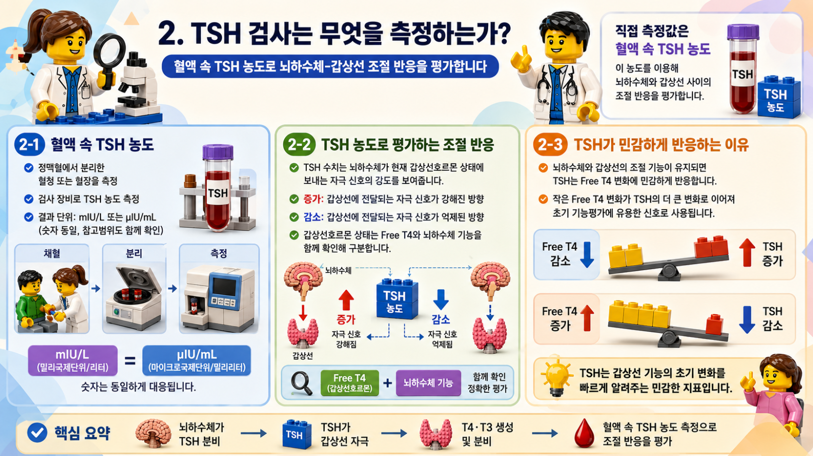 혈액 속 TSH 농도 측정과 Free T4 변화에 따른 조절 반응을 설명하는 레고 스타일 메디컬 인포그래픽