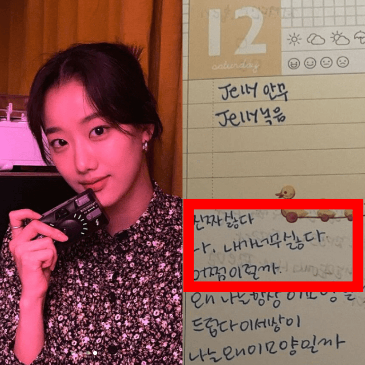 이나은-친언니-학폭-왕따-폭로-일기장-인스타그램