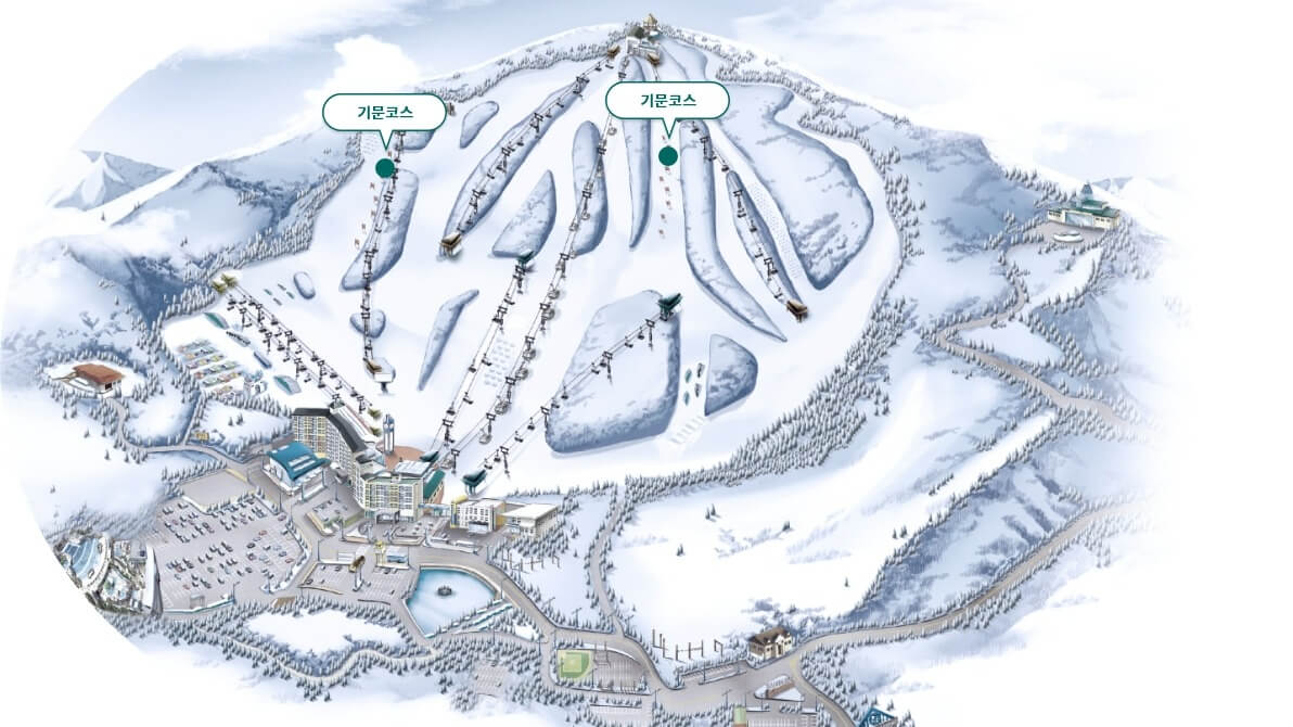 2025/2026 웰리힐리파크 스키장 시즌권 렌탈 할인 완벽 가이드