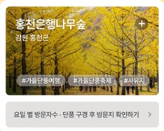 단풍여행지 추천