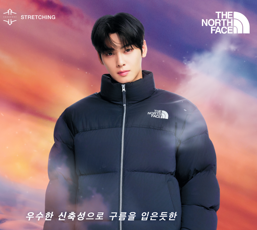 노스페이스 패딩 주요 특징