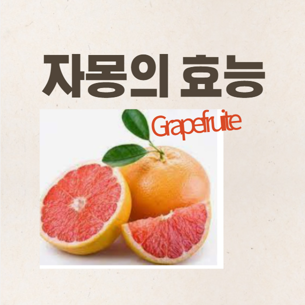 자몽의효능
