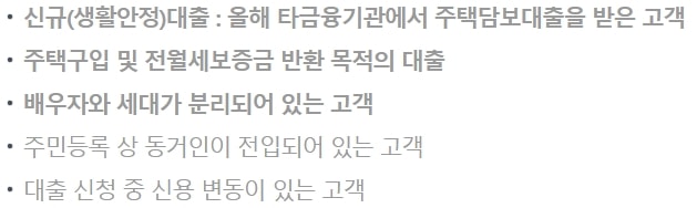 대출불가 대상