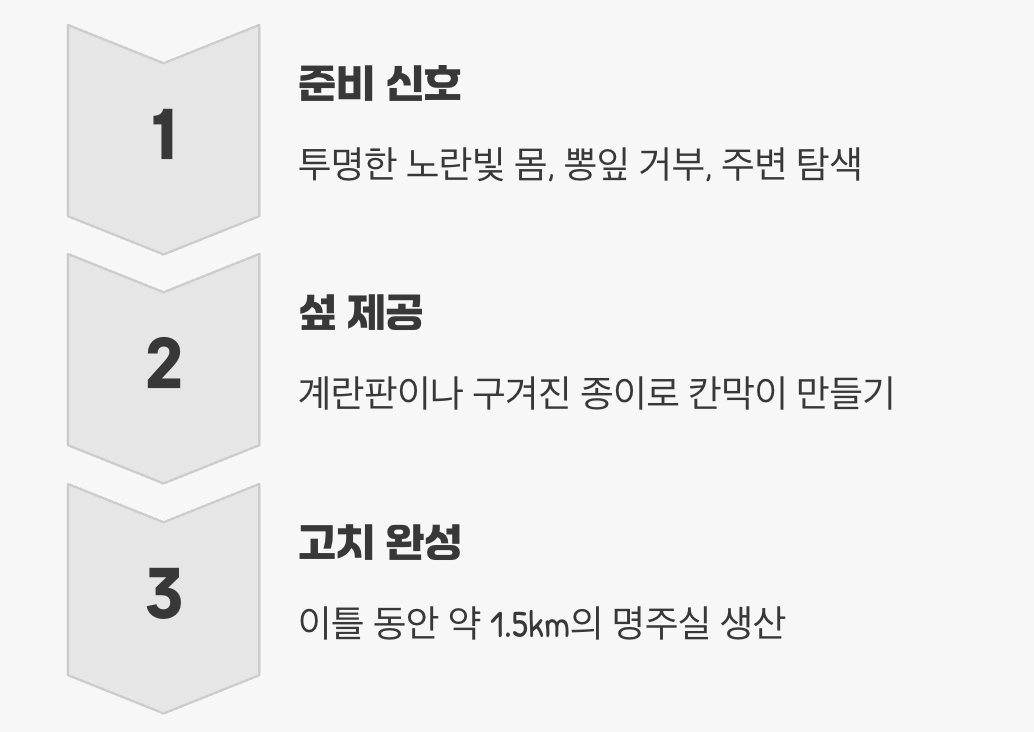 세상에서 가장 비싼 집, 고치 짓기