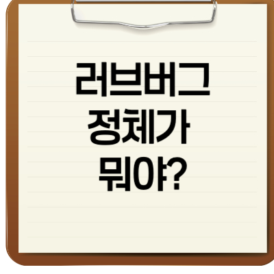 러브버그 정체가 뭐야?