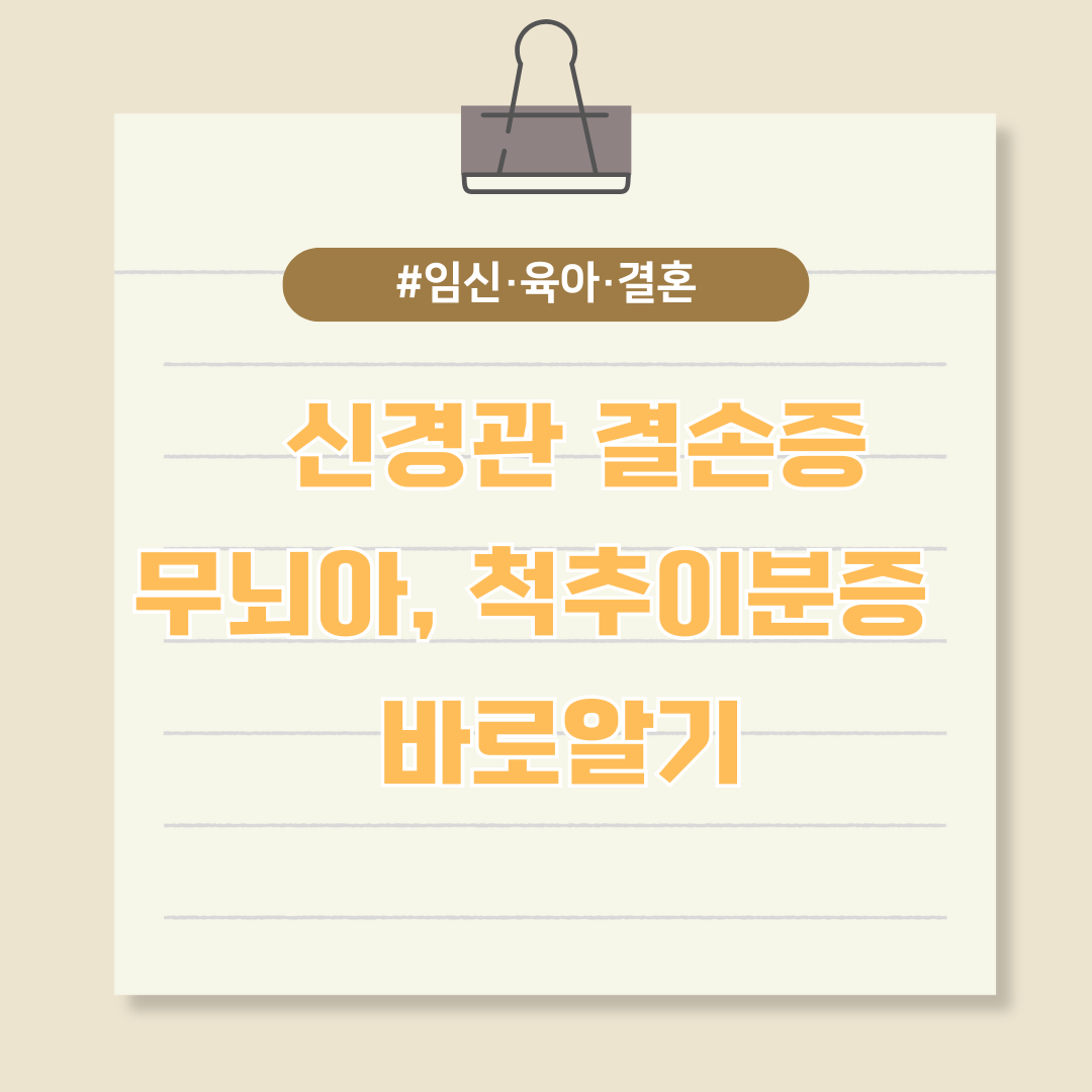 임신 초기 조심해야 할 신경관 결손증(무뇌아, 척추이분증) 바로알기