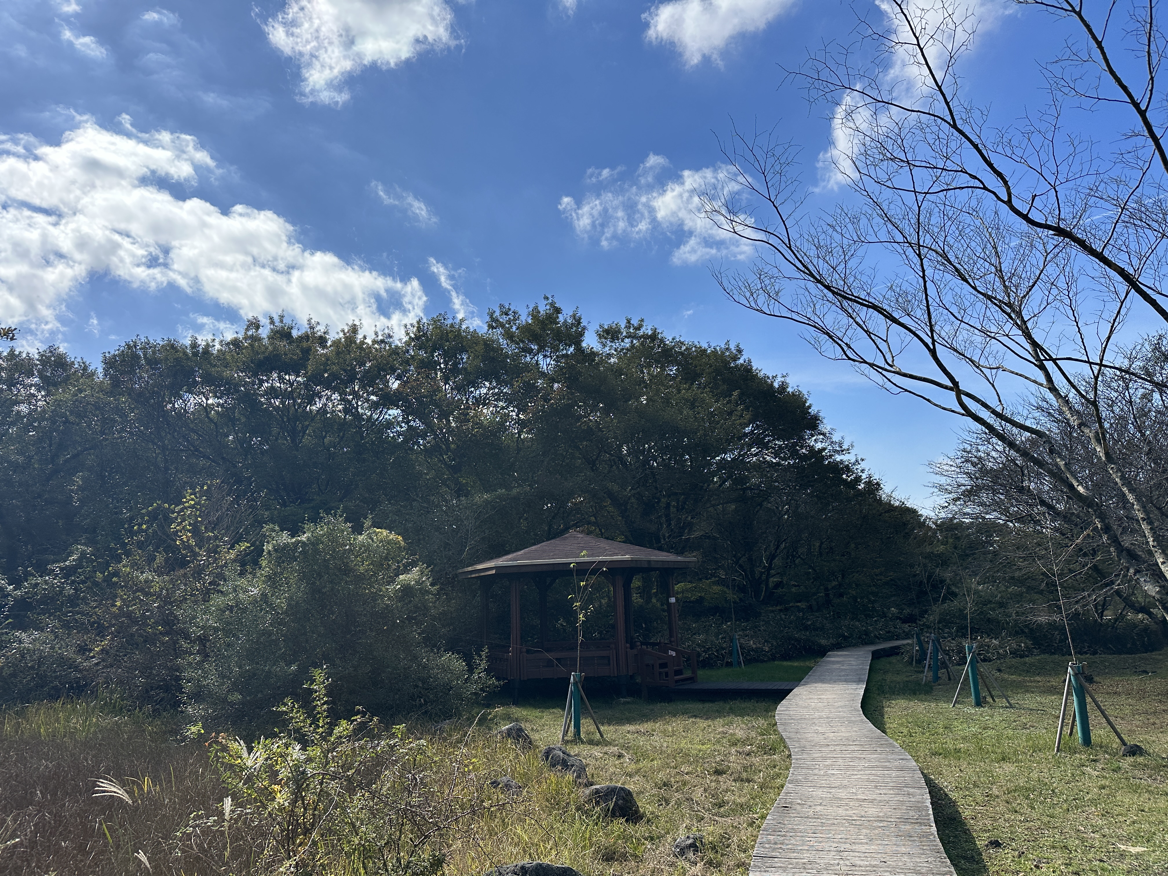 거친오름 산책로