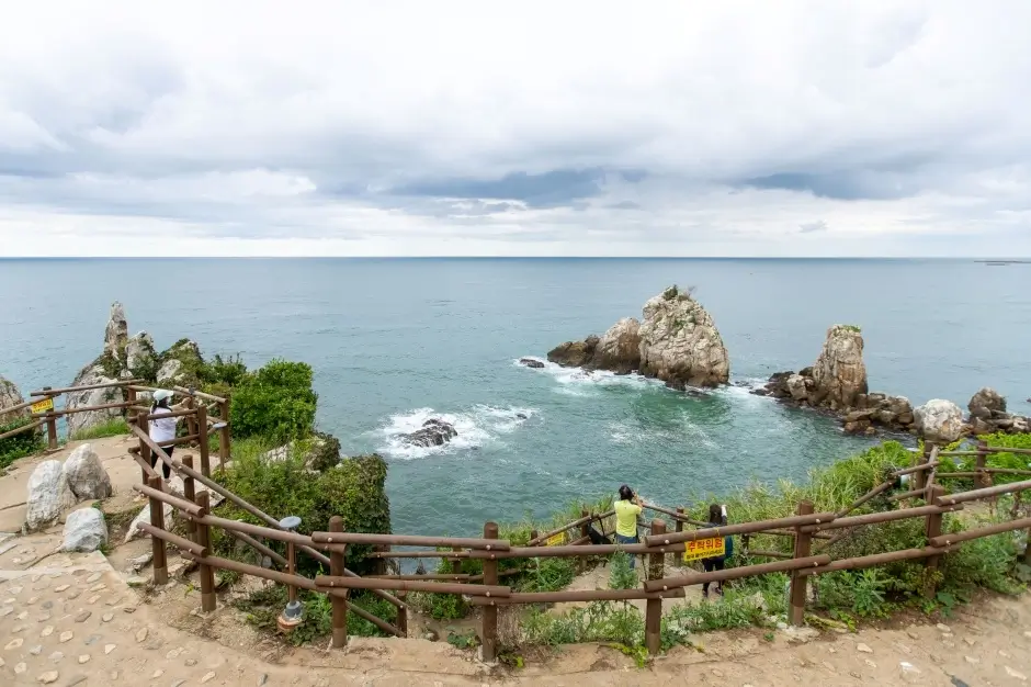 1198e5d1-6767-4498-918f-1e1666ae73e8