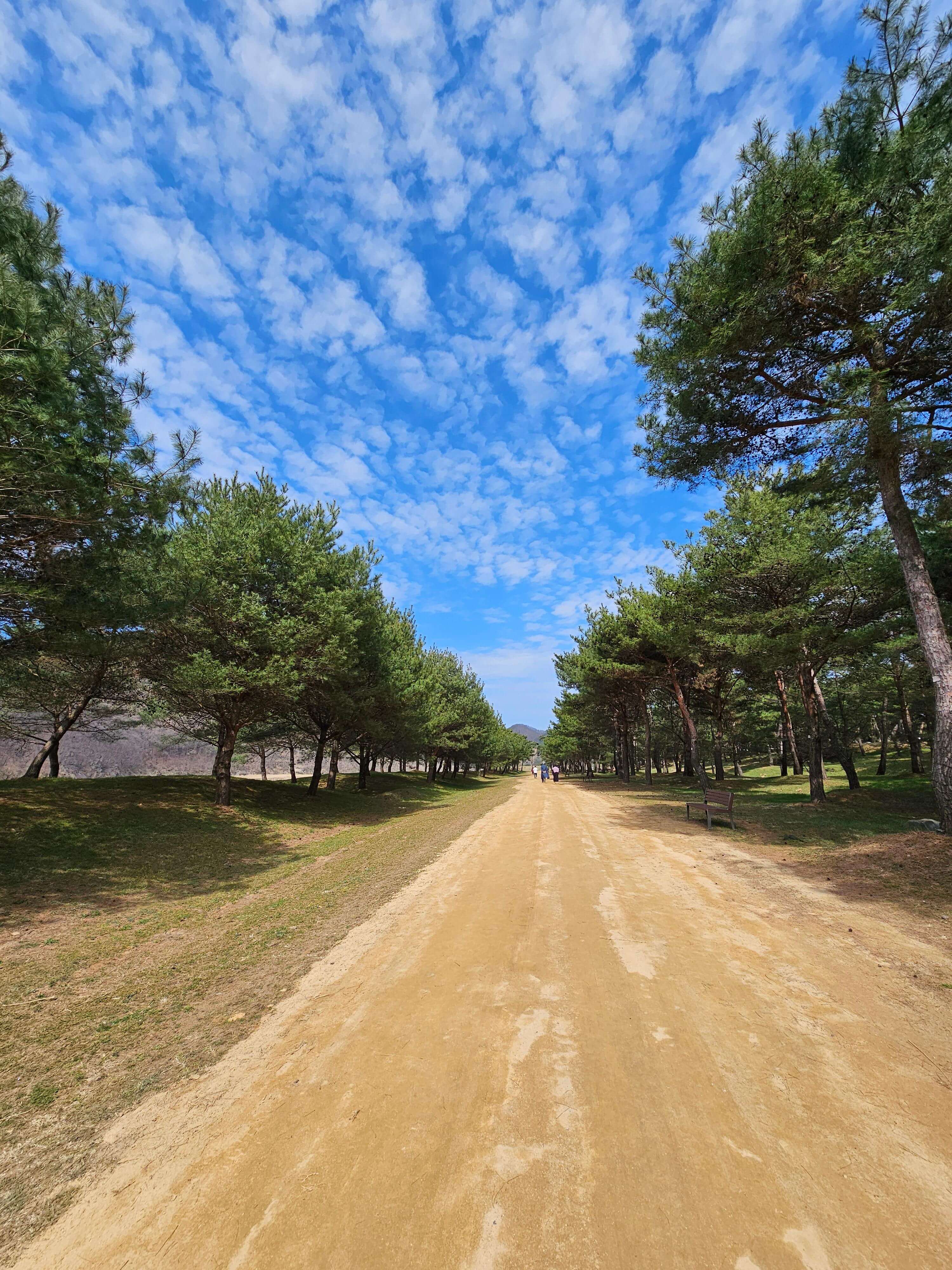 공주 고마나루 황톳길