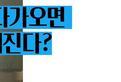 과민성 대장증후군 증상