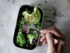 간헐적 단식 방법 효과 및 간헐적 단식 방법 16:8 총정리