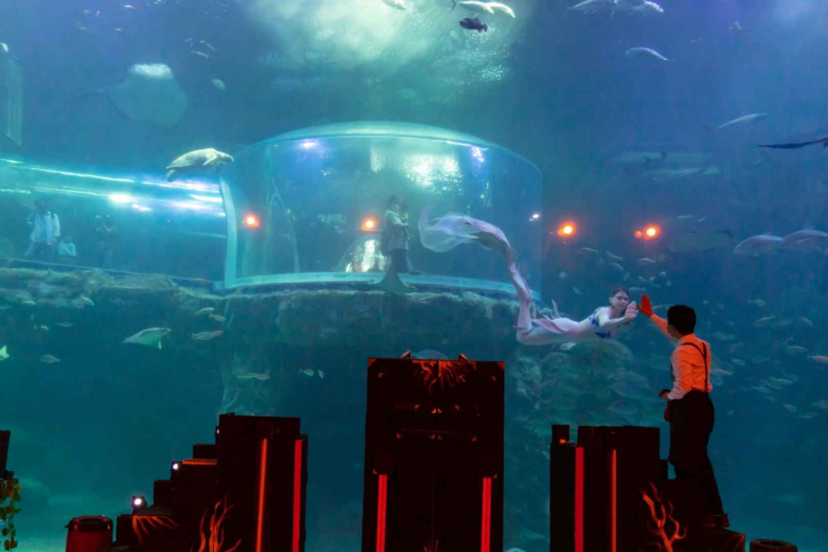 여수 아쿠아플라넷