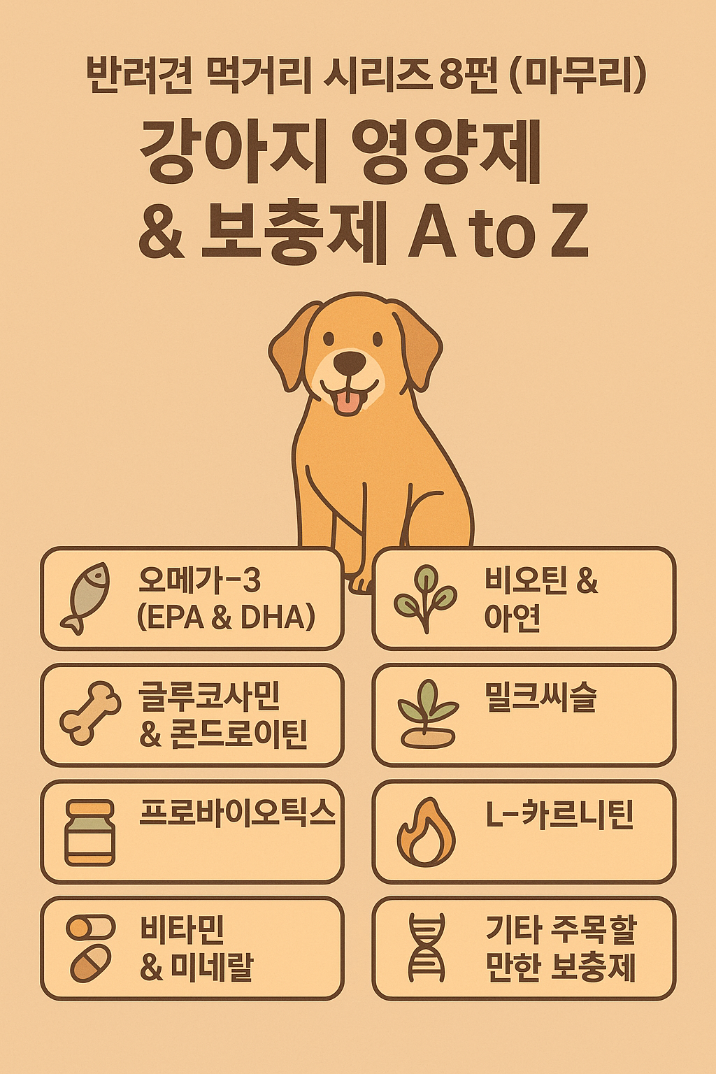 "강아지 영양제 & 보충제 A to Z" 이미지