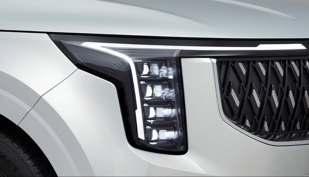 카니발 하이브리드