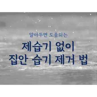 제습기 없이 습기 제거 끝 숯 염화칼슘 등 천연 제습제 활용법 완벽 가이드_8