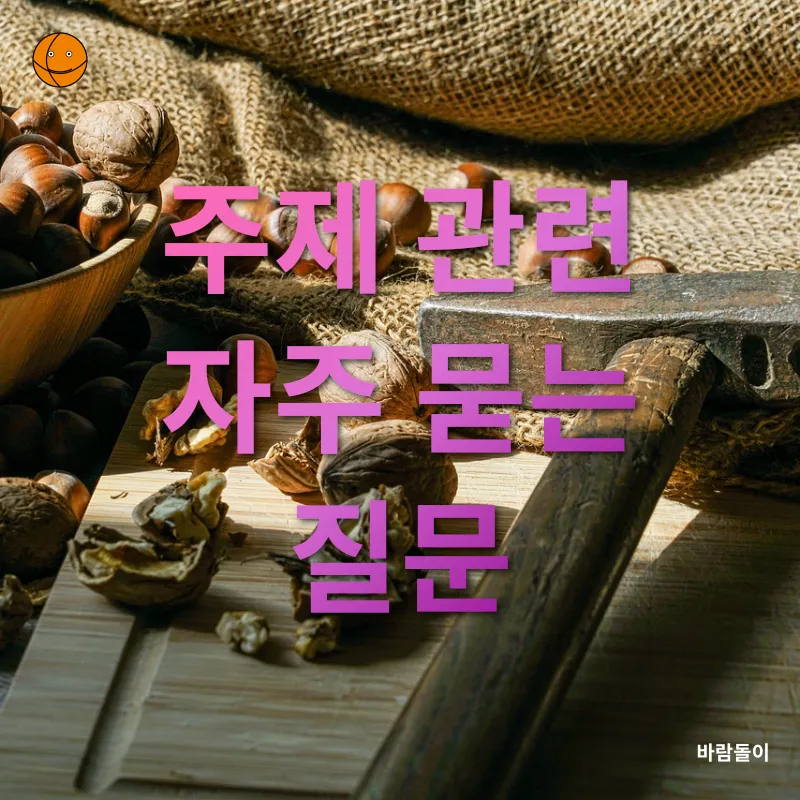 건강한 직장 도시락_4