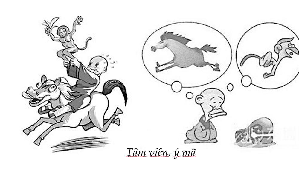 "떰 비엔 이 마"을 설명하는 그림