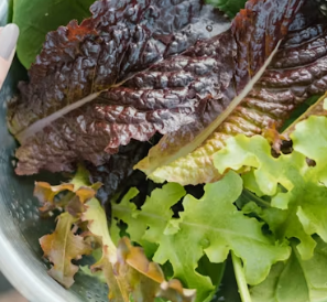 이석증에 좋은 음식 영양제 식단