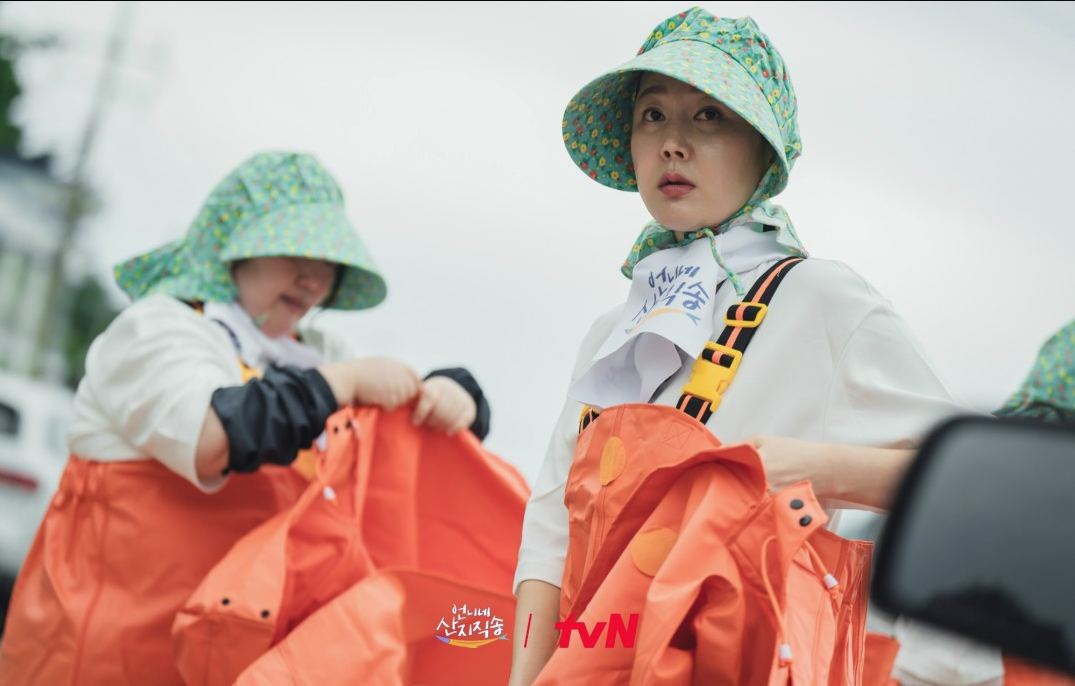염정아 멸치털이
