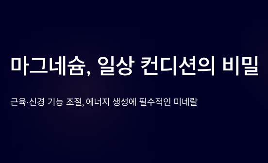 마그네슘 많은 일상에서 필요한 이유