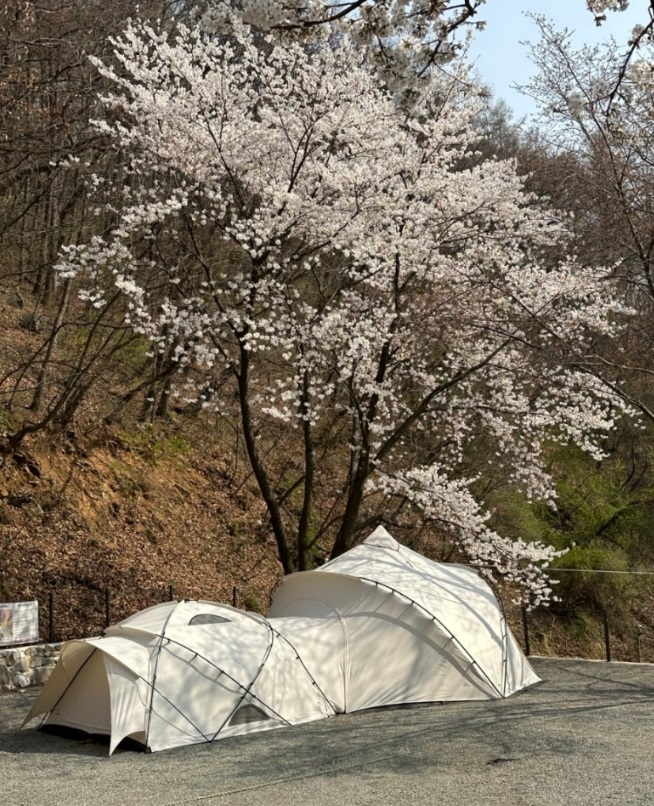 아우내관광농원 캠핑장