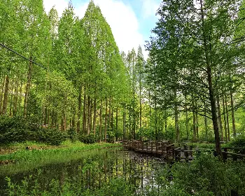 장태산 자연휴양림 예약_4