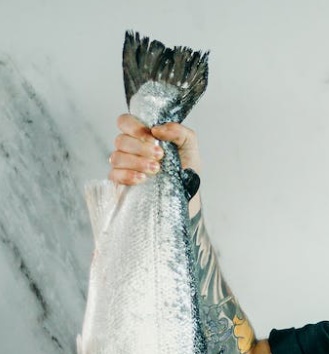 명태 이름 종류