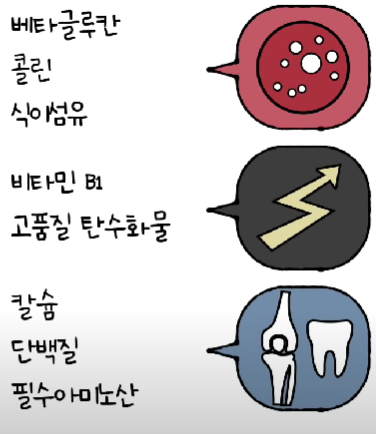 귀리의 효능