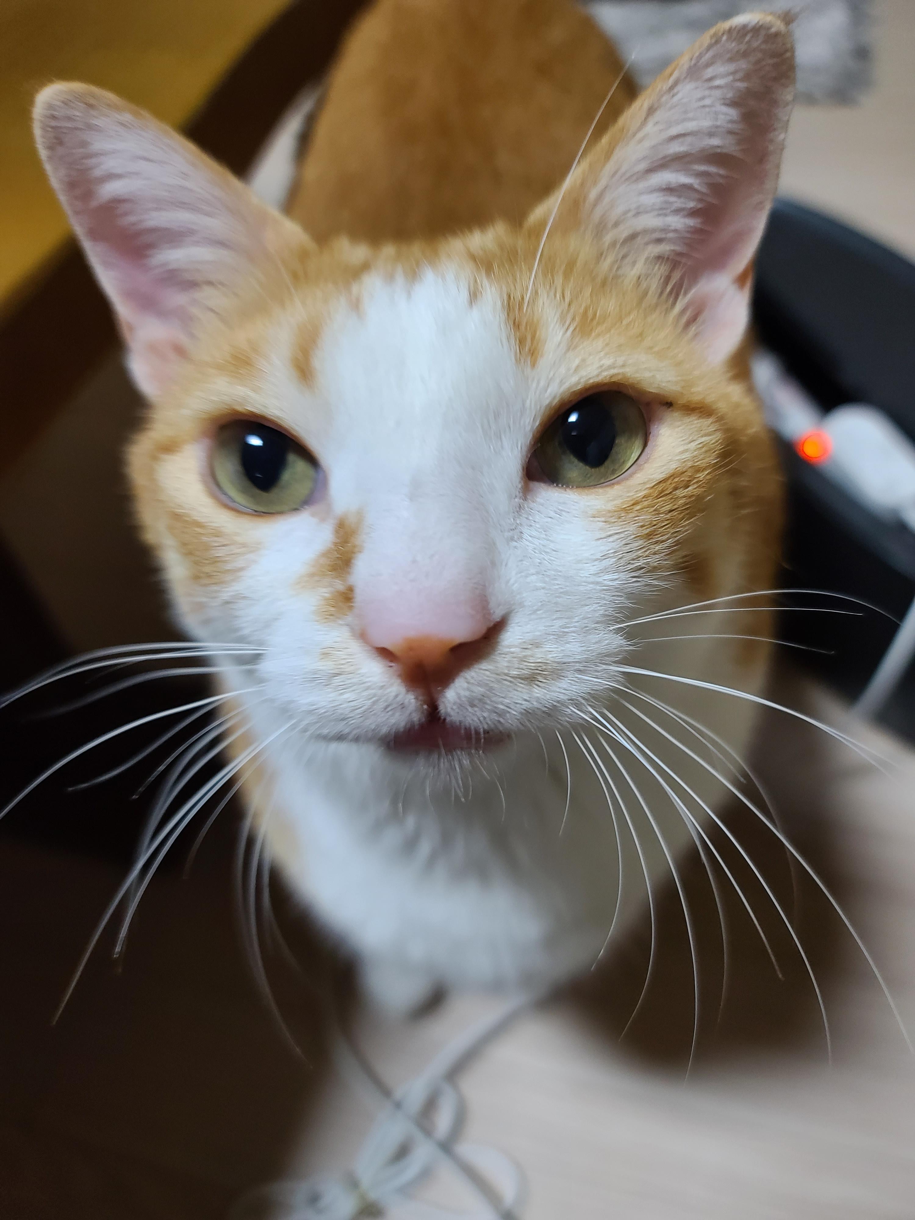 호야의 '동 to the 그 to the 라미' 스크래쳐 사용법.