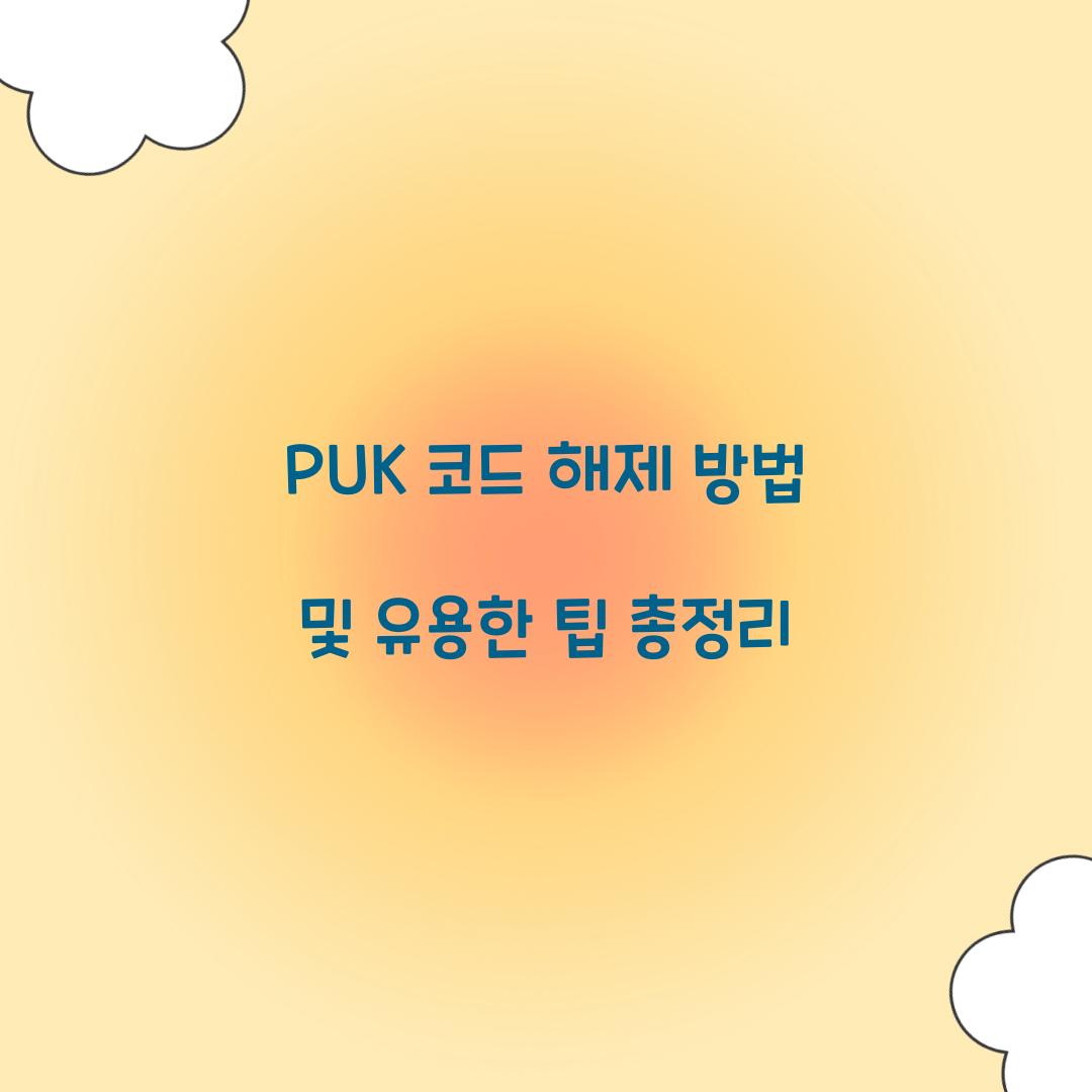 PUK 코드 해제 방법