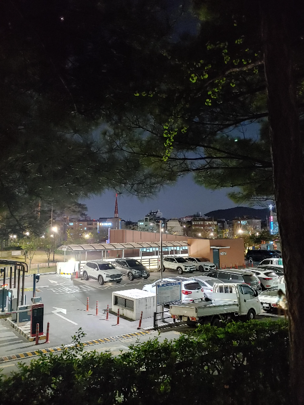 밤의-피크닉-밤의-산책-@신천공원