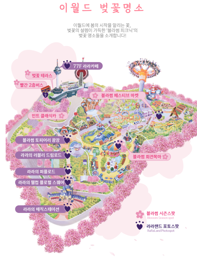 이월드 벚꽃명소