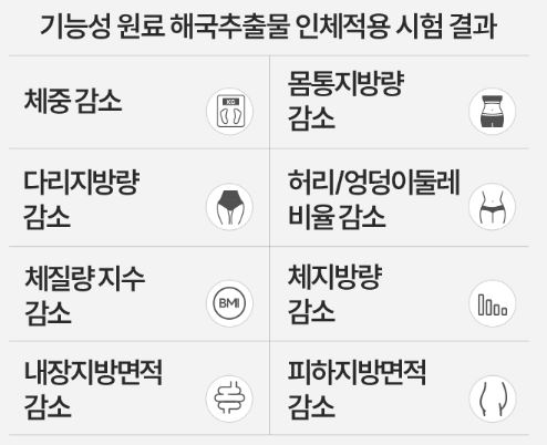 슬림웨이-다이어트-솔비-다이어트-효과
