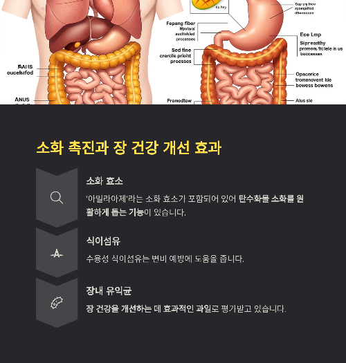 망고, 달콤함 속에 숨겨진 건강의 이점과 주의사항
