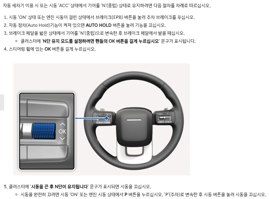 팰리세이드세차중립