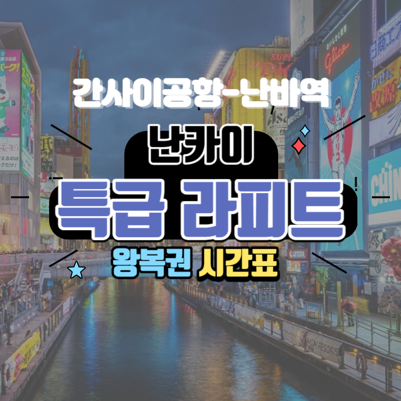 라피트 왕복권