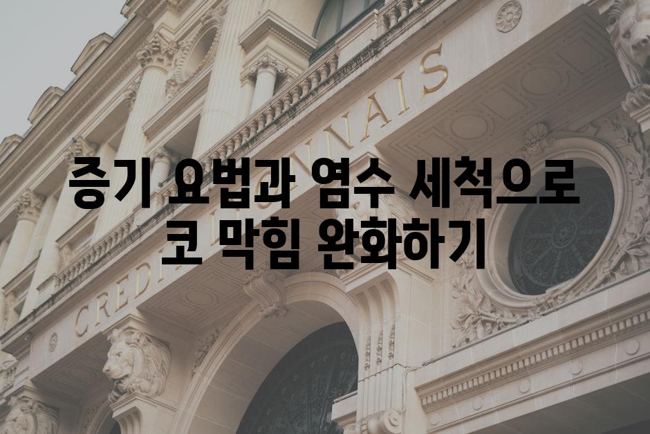 증기 요법과 염수 세척으로 코 막힘 완화하기