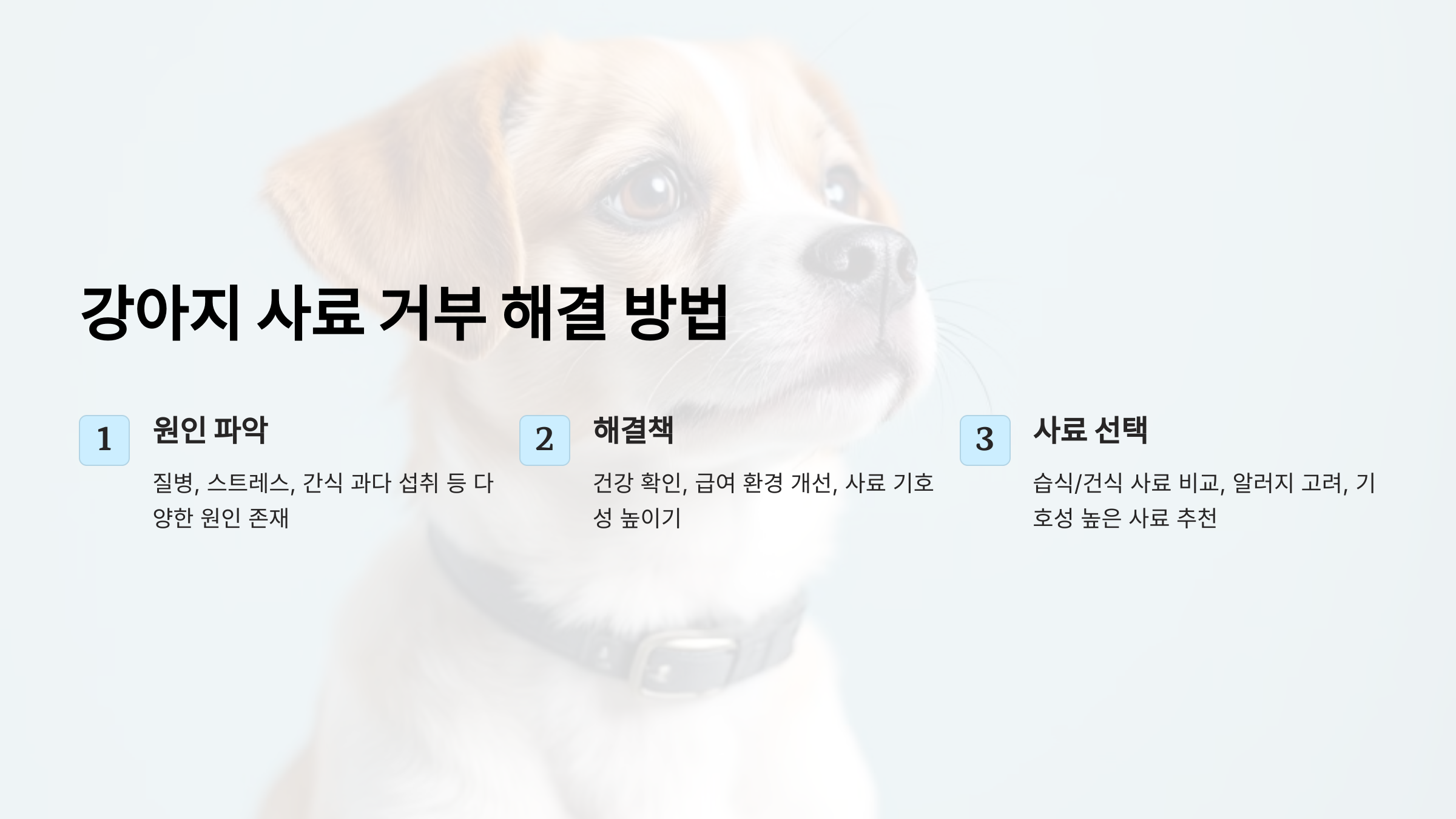 강아지가 사료를 안 먹어요? 원인별 해결 방법 & 기호성 높은 사료 추천