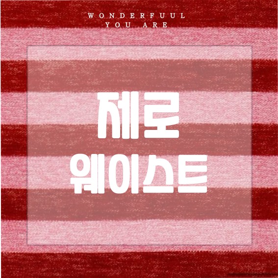 제로 웨이스트 실천법과 사례, 환경을 위한 첫걸음