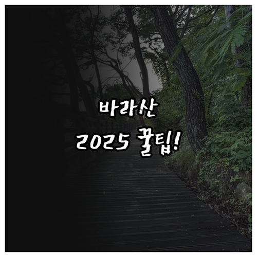 경기도 바라산 자연휴양림 2025년 ..