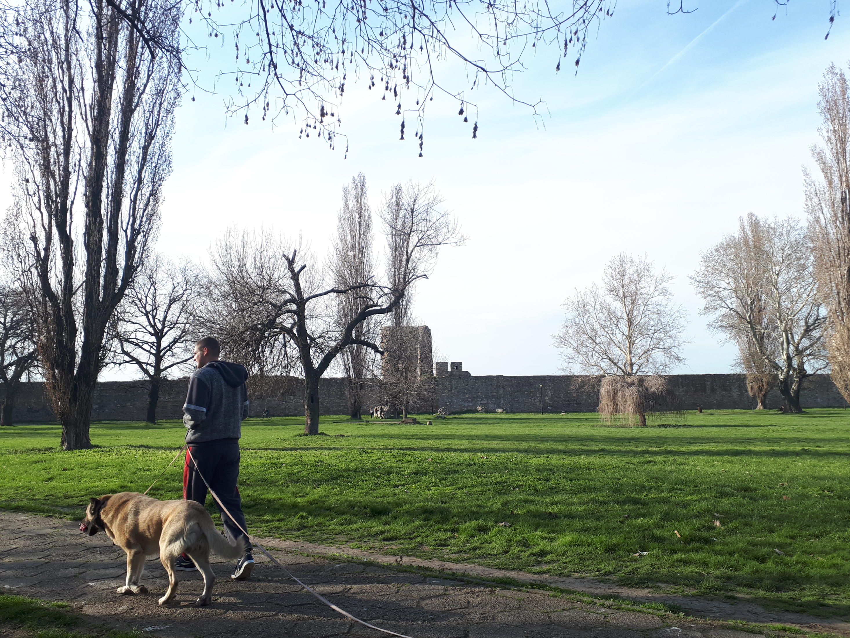 세르비아 스메데레보 요새에서 강아지와 산책