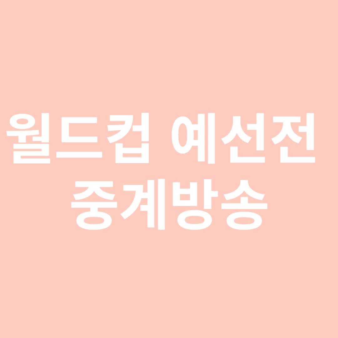 월드컵 중계방송