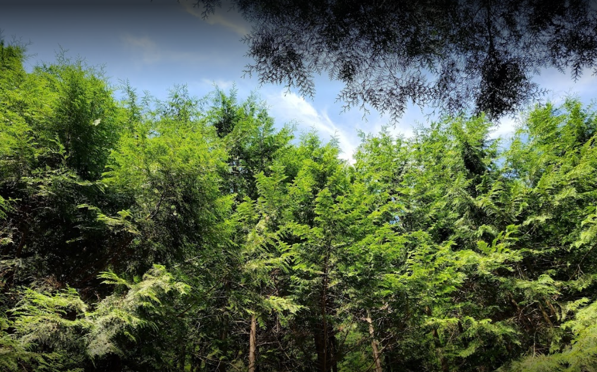 통영 가볼만한곳